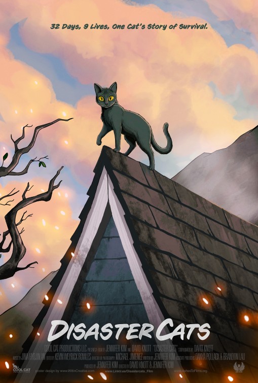 Disaster Cats